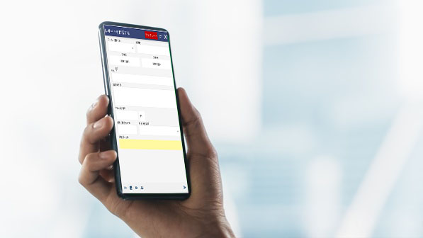 Daily Report App Image